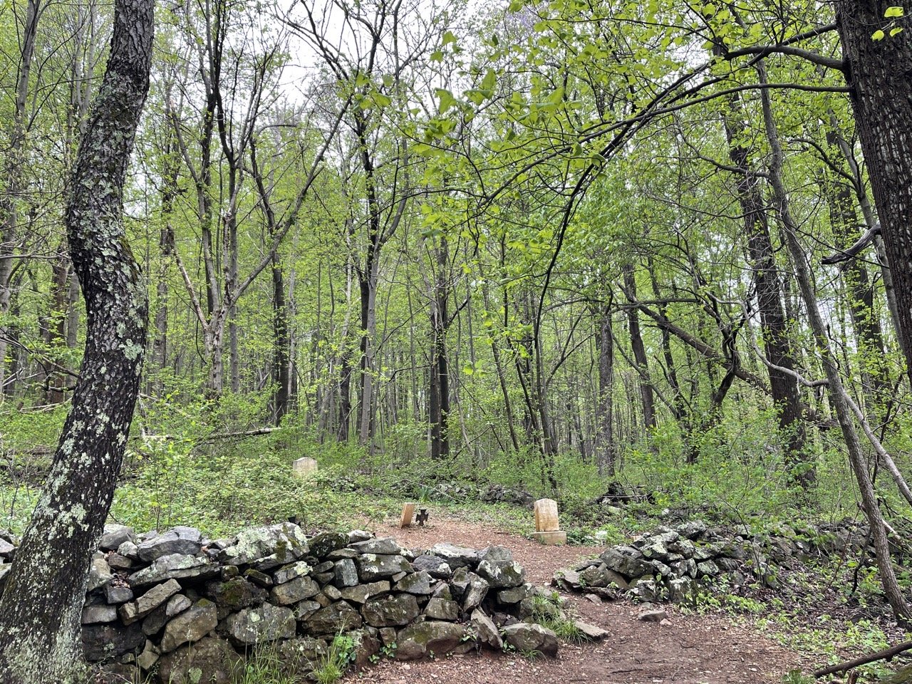 🏞️ 산베 자연관 사히멜(시마네켄리츠 산베 시젠칸 사히메루) 이미지 6